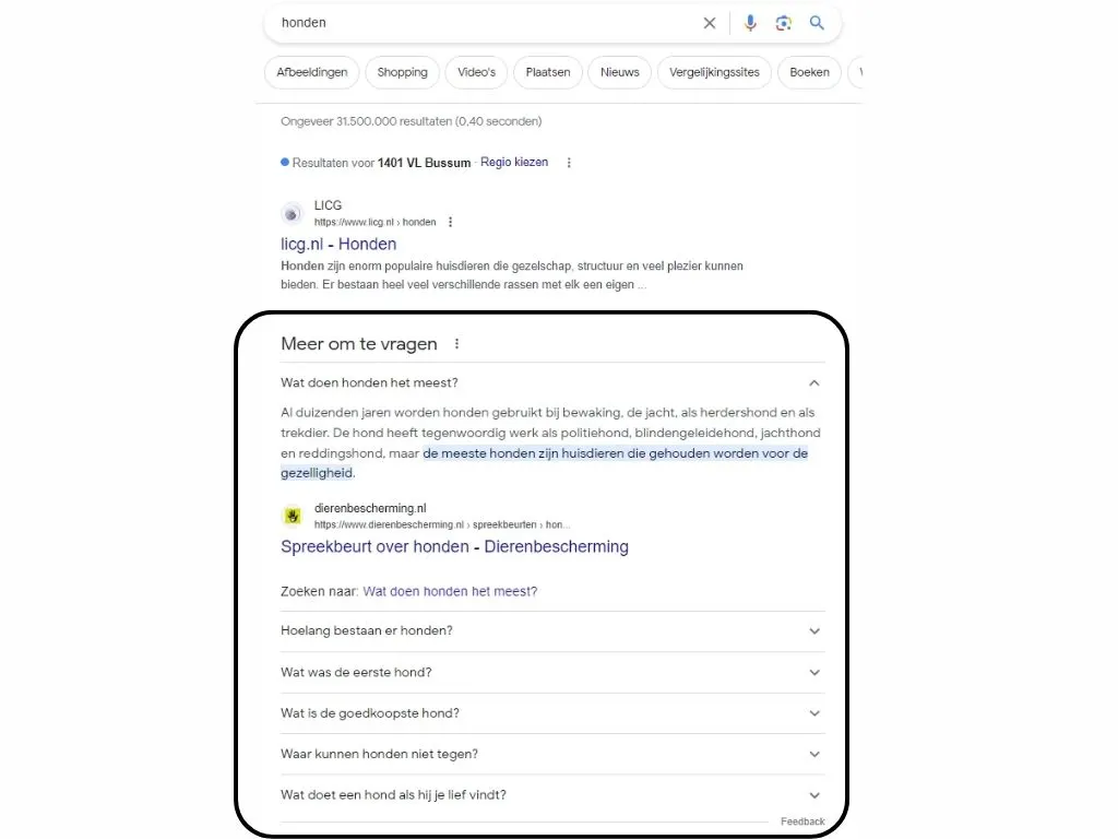 google search console faqs in search results