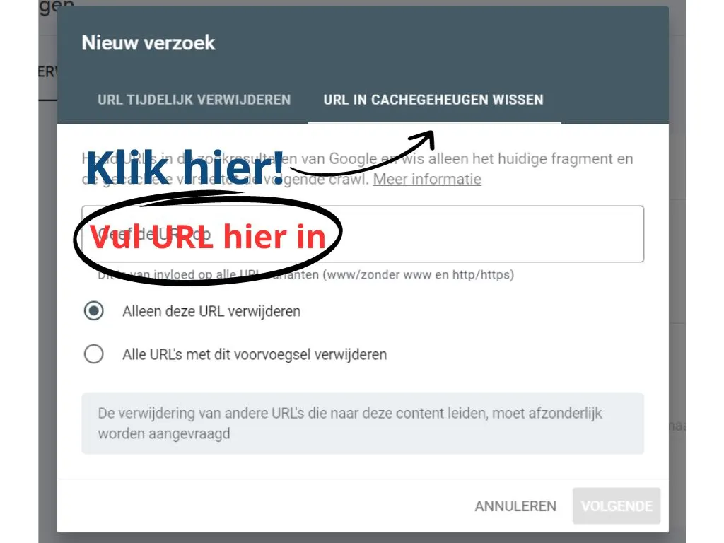 google search console removals clearing cached url