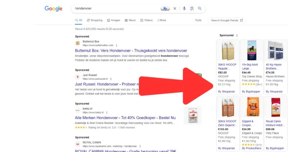 example-of-shopping-ads-on-the-right