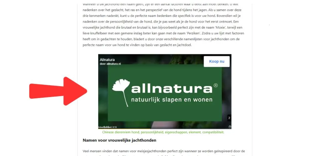 example-of-a-video-ad-on-websites