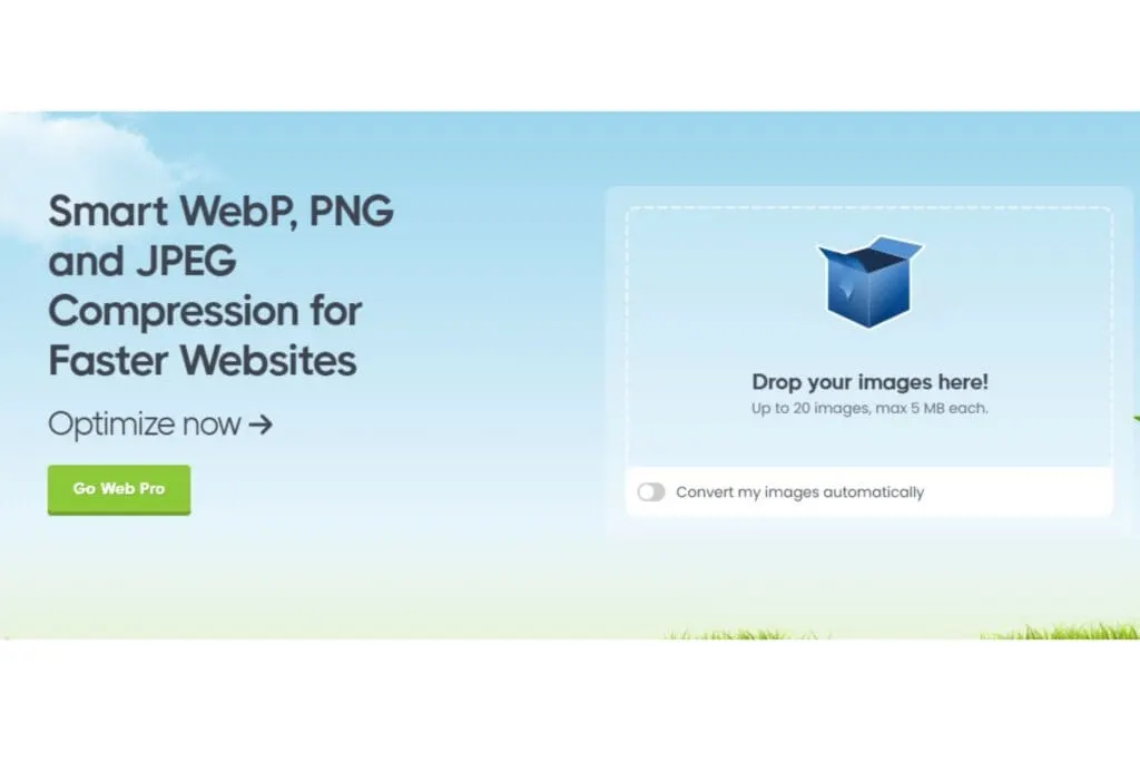 example-of-the-tinypng-interface