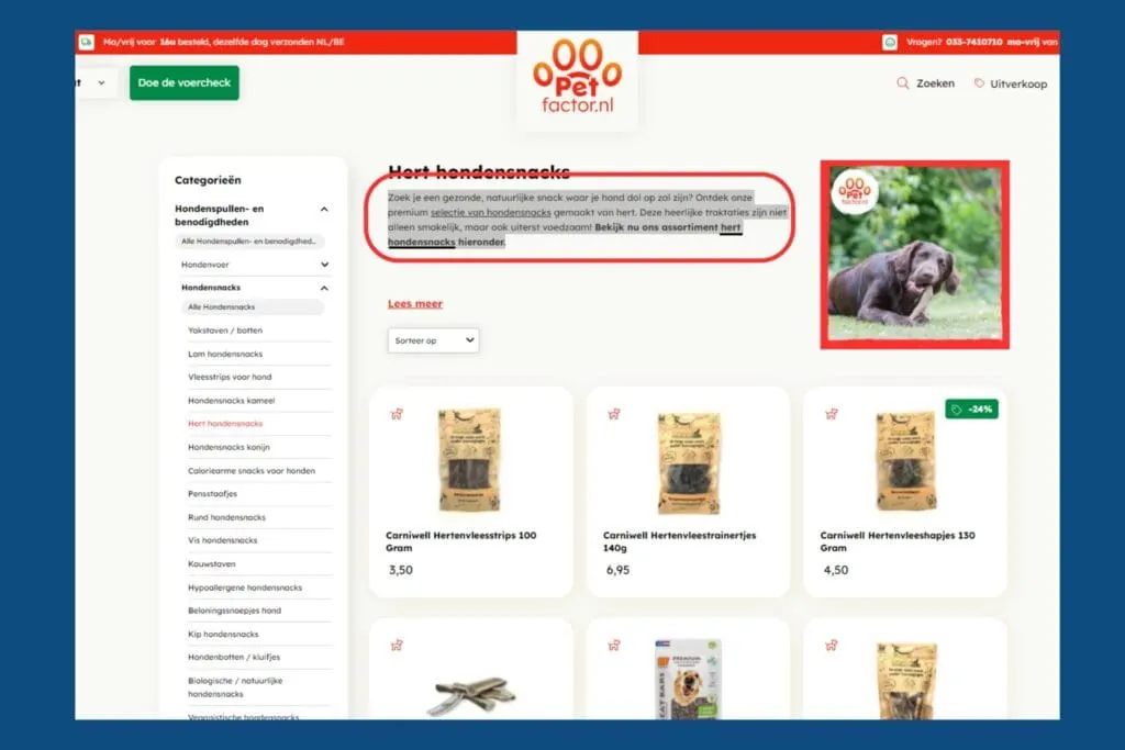 example-of-top-content-on-a-category-page