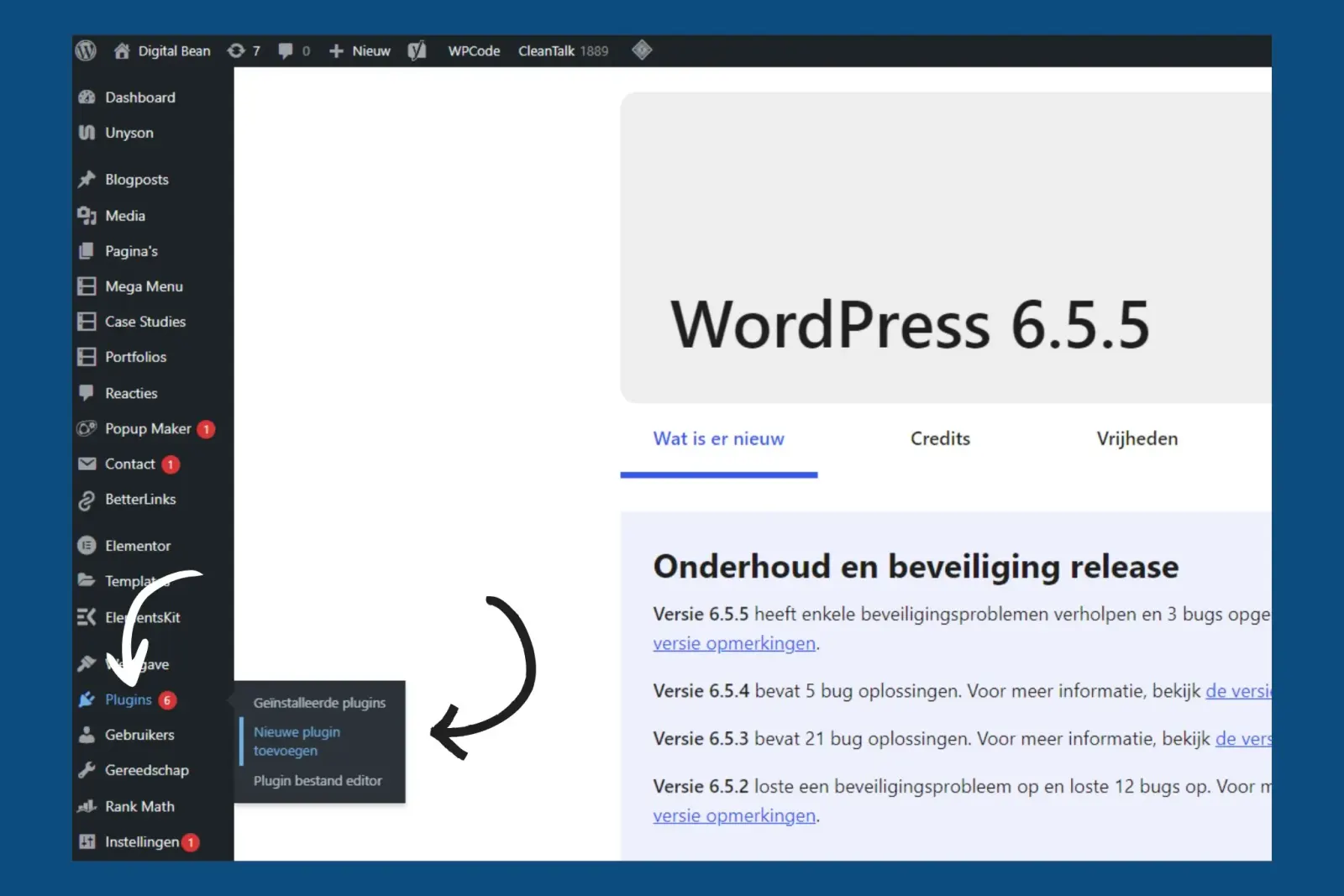 example of installing a WordPress plugin